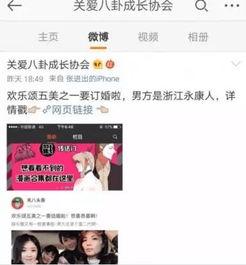 吃瓜娱乐圈小说封,娱乐圈幕后风云录